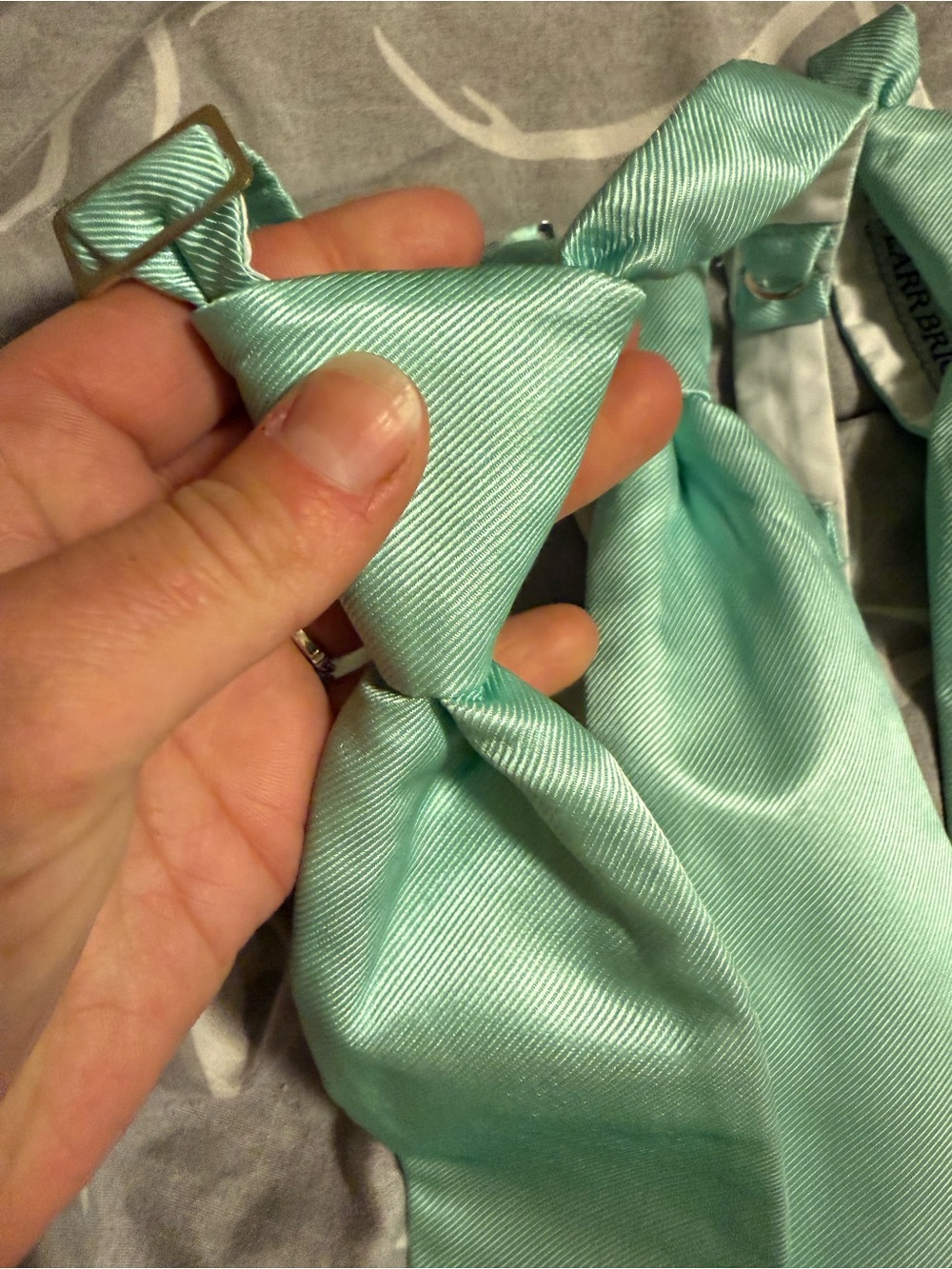 Classic Mint Satin Men's Ties - set of 5